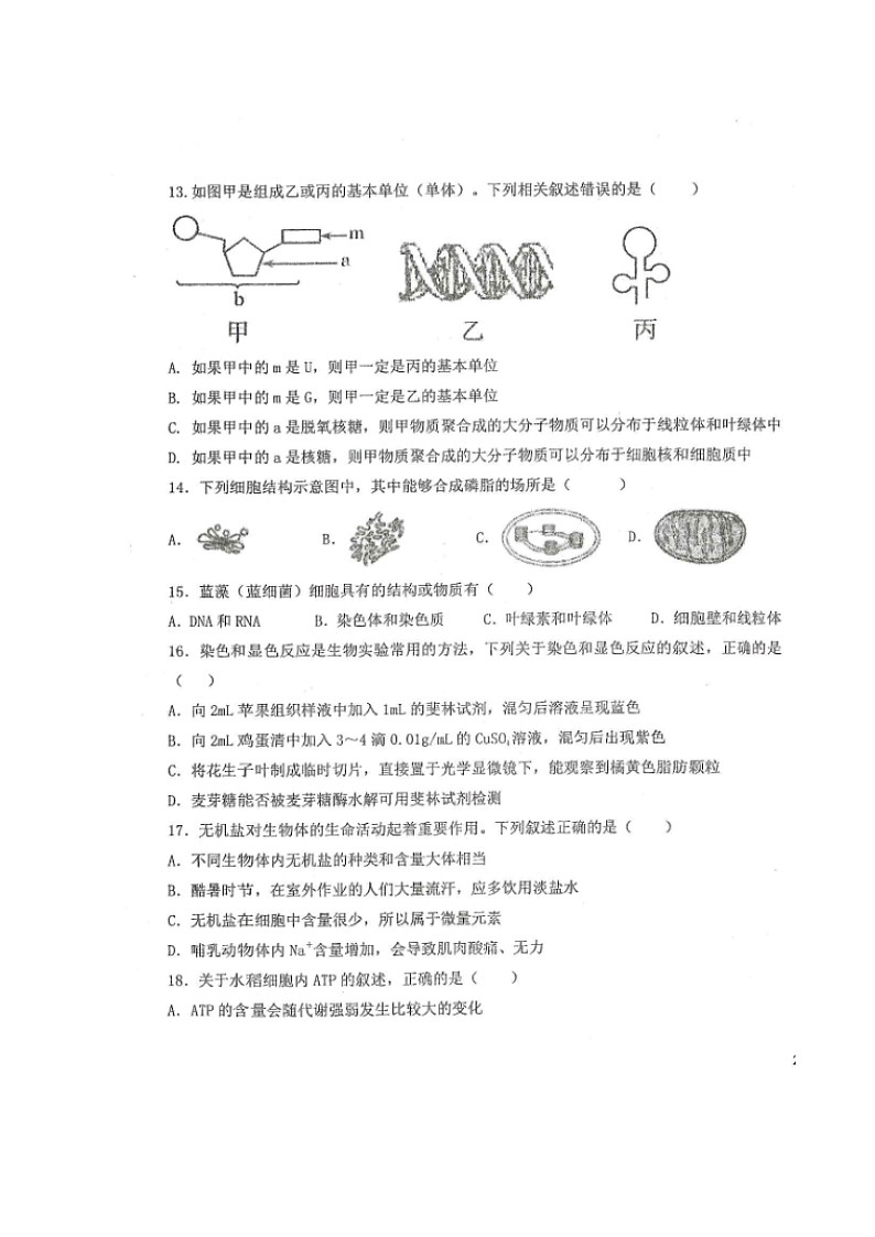 2023黑龙江省龙西北八校联合体高三上学期开学考试生物试题扫描版含答案第3页
