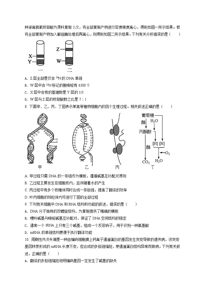 山东省临沂市兰山区2021-2022学年高二上学期开学考试生物试题（原卷版）第2页