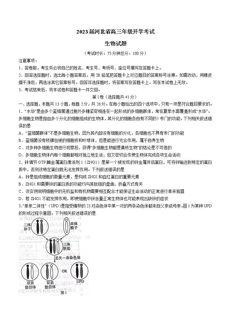 2023邢台名校联盟高三上学期开学考试生物含解析01