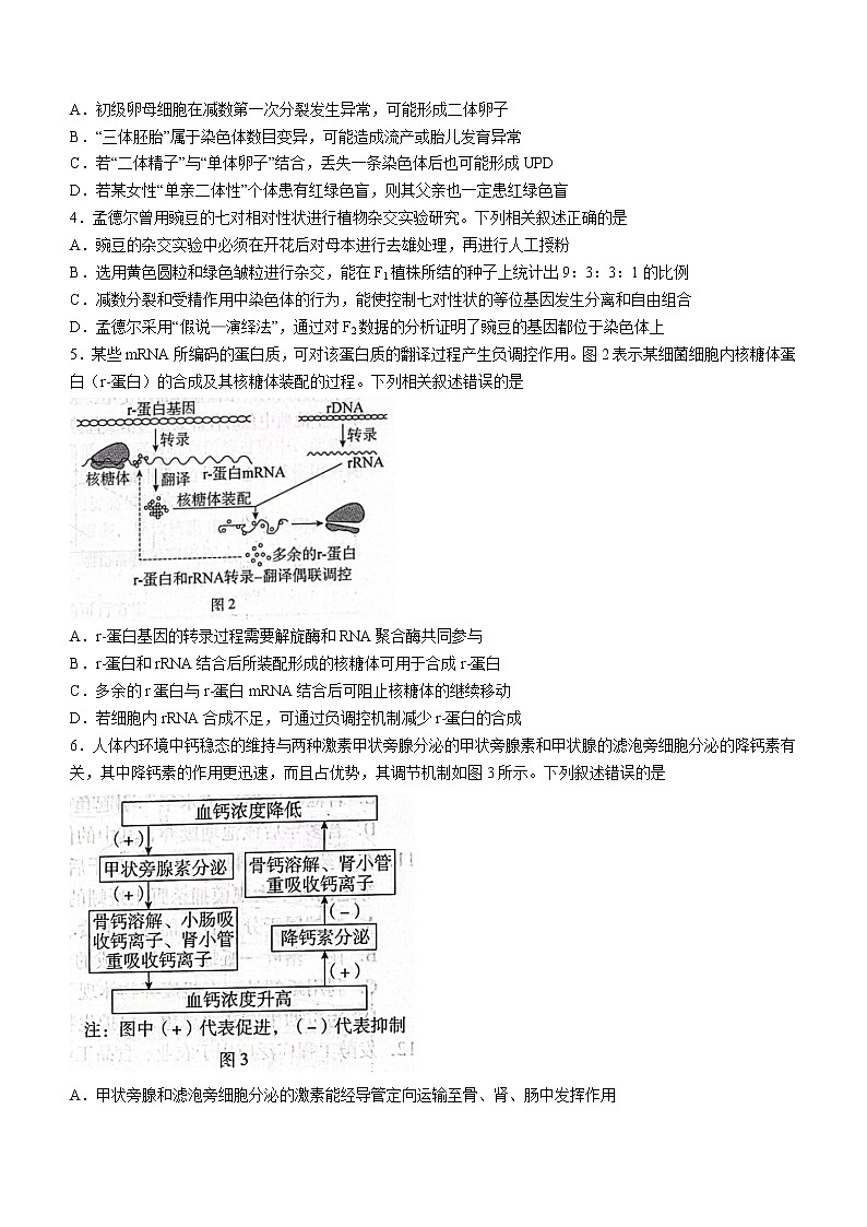 2023邢台名校联盟高三上学期开学考试生物含解析02