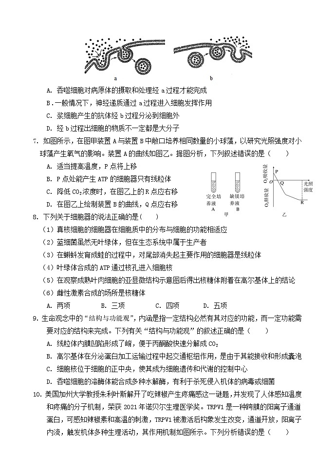 生物试题 无答案第2页