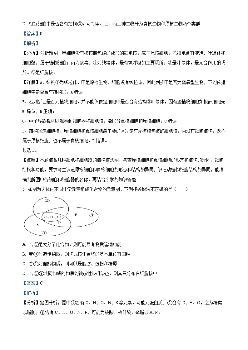 天津市咸水沽第一中学2023届高三上学期开学考试生物试题含答案第3页