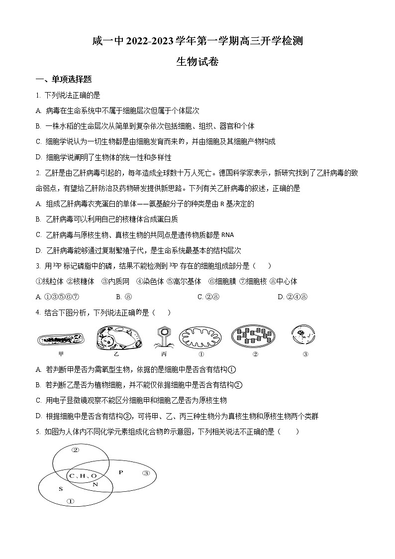 天津市咸水沽第一中学2023届高三上学期开学考试生物试题第1页