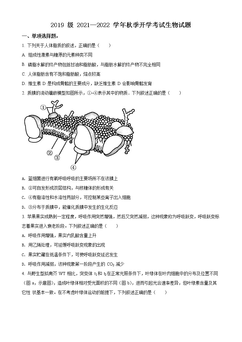 山东省济南市山师大附中2021-2022学年高三上学期开学考试生物试题第1页
