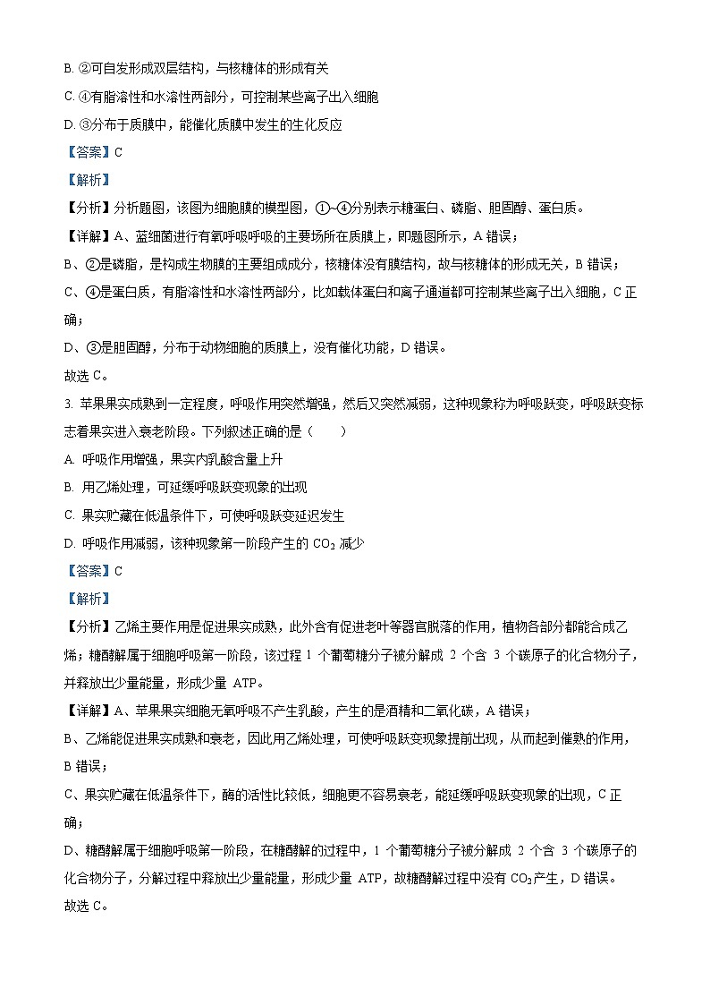 山东省济南市山师大附中2021-2022学年高三上学期开学考试生物试题（解析版）第2页