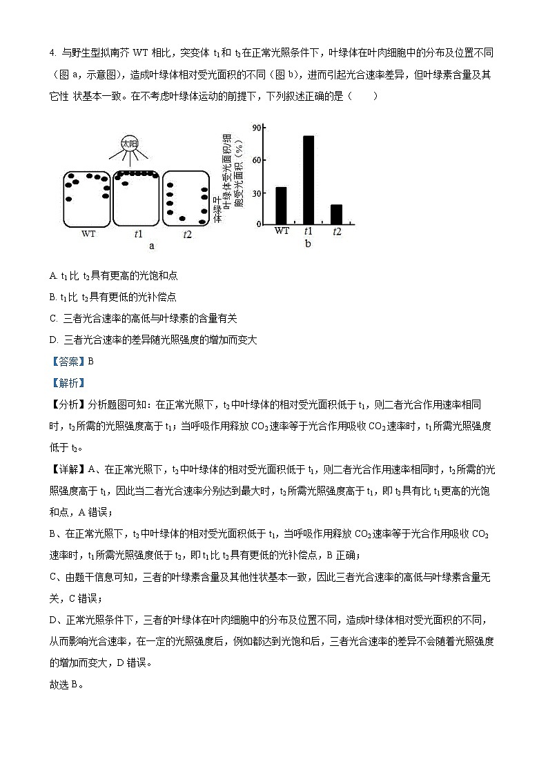 山东省济南市山师大附中2021-2022学年高三上学期开学考试生物试题（解析版）第3页