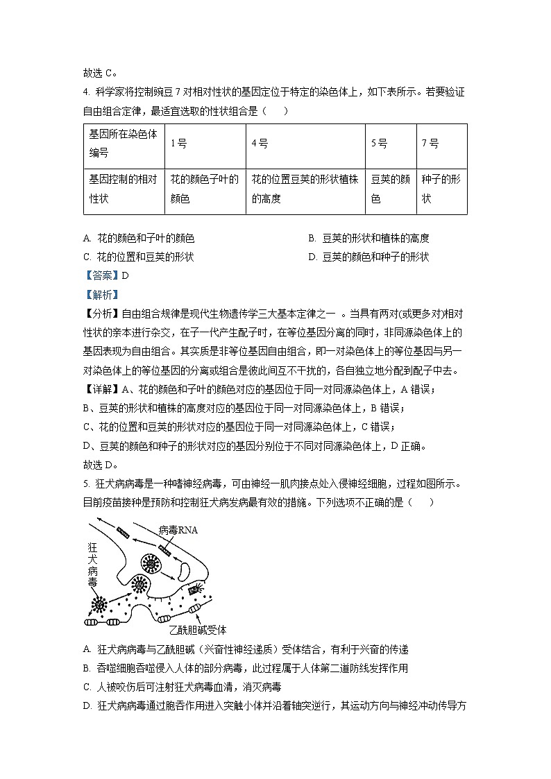 山东省聊城市二中2022-2023学年高二上学期开学考试生物试题解析版第3页