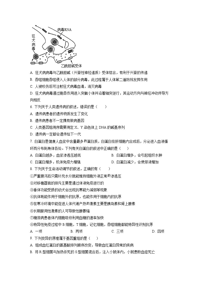 山东省聊城市二中2022-2023学年高二上学期开学考试生物试题第2页