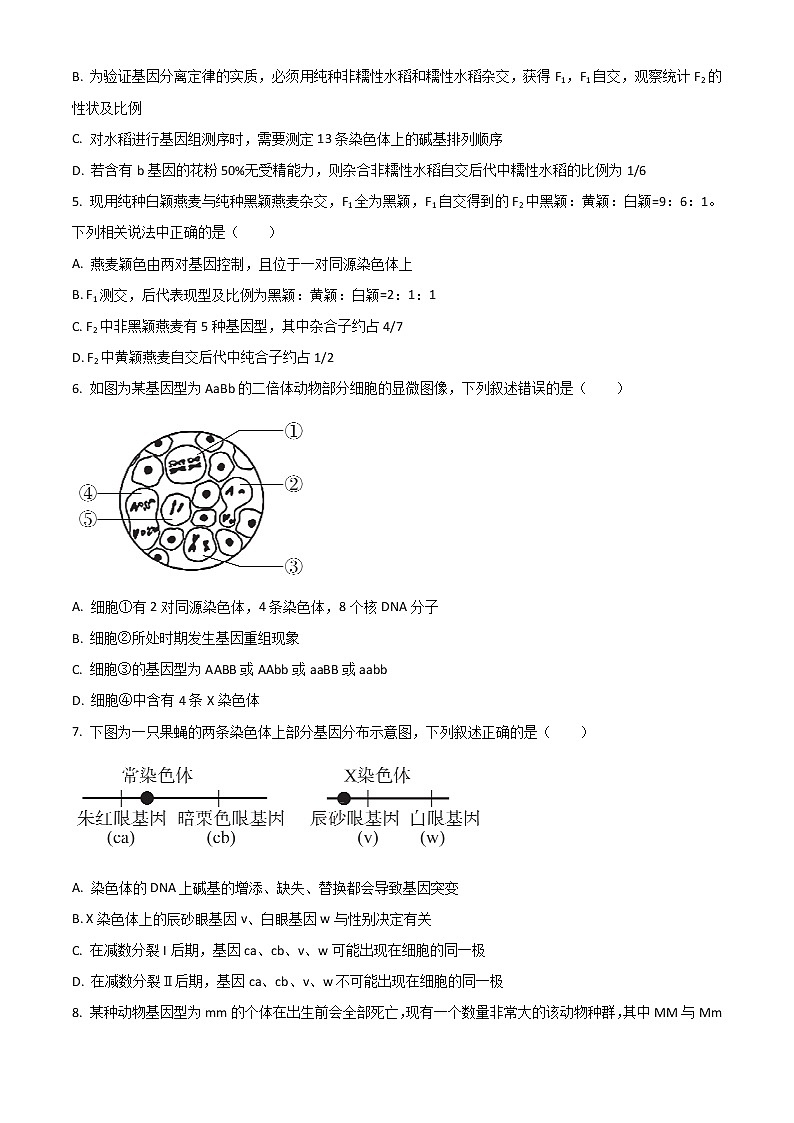 2023沧州沧县风化店中学高二上学期开学考试生物试题含答案第2页