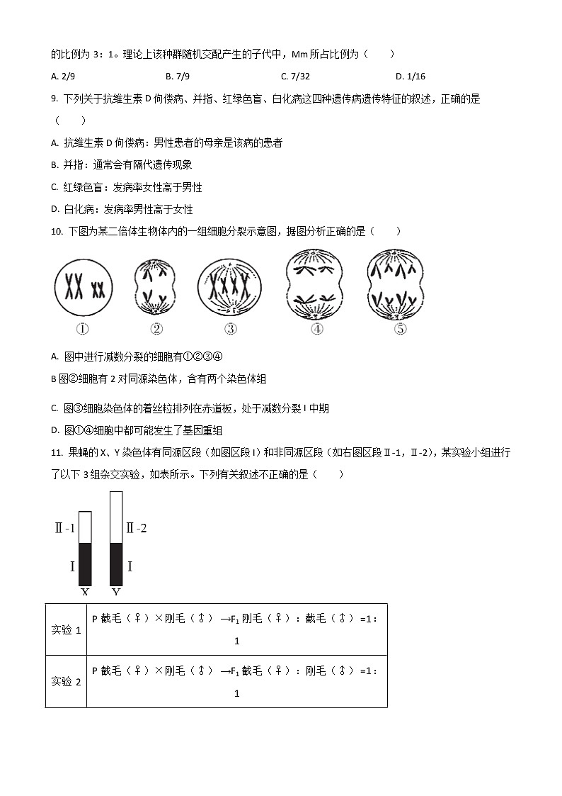 2023沧州沧县风化店中学高二上学期开学考试生物试题含答案第3页