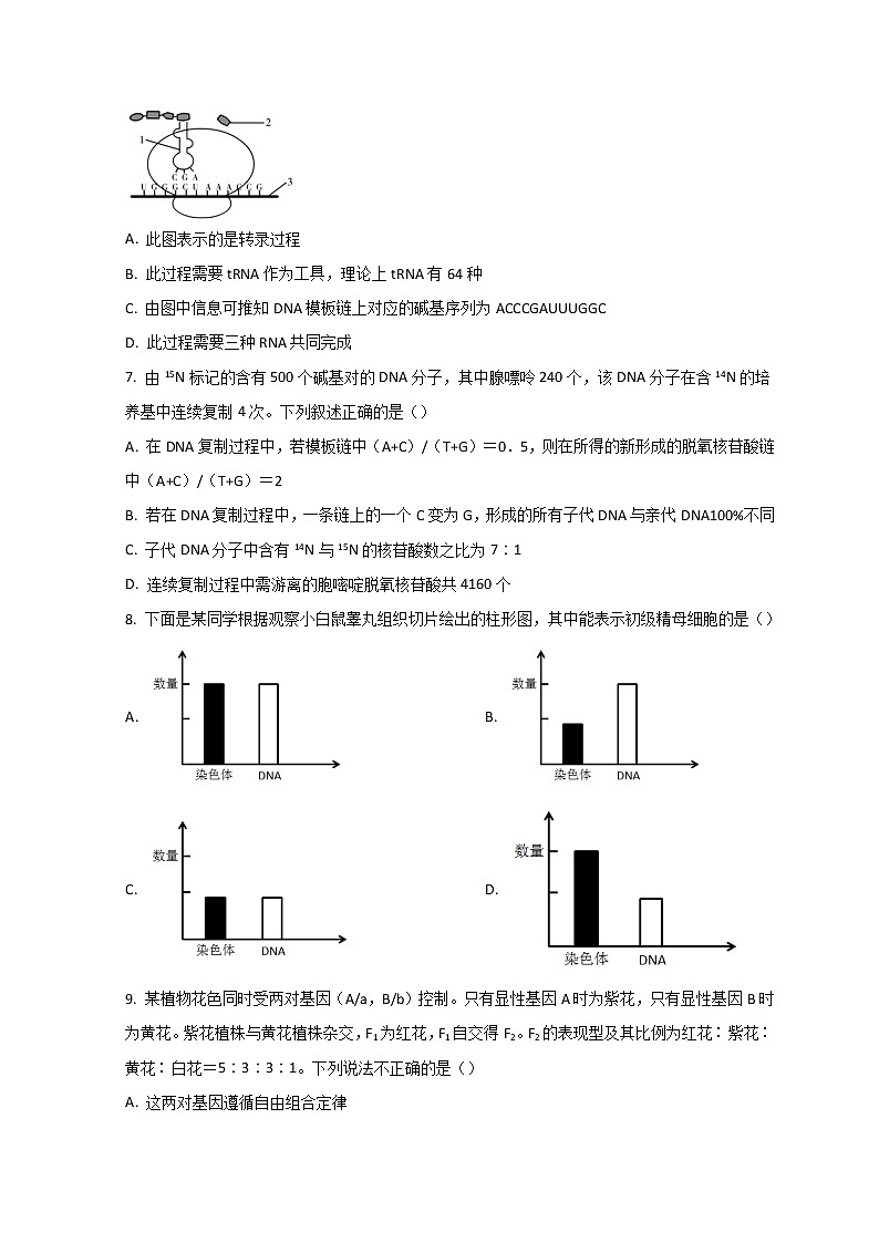 2022沧州北师大沧州渤海新区附属学校高二上学期开学考试生物试题含答案第2页
