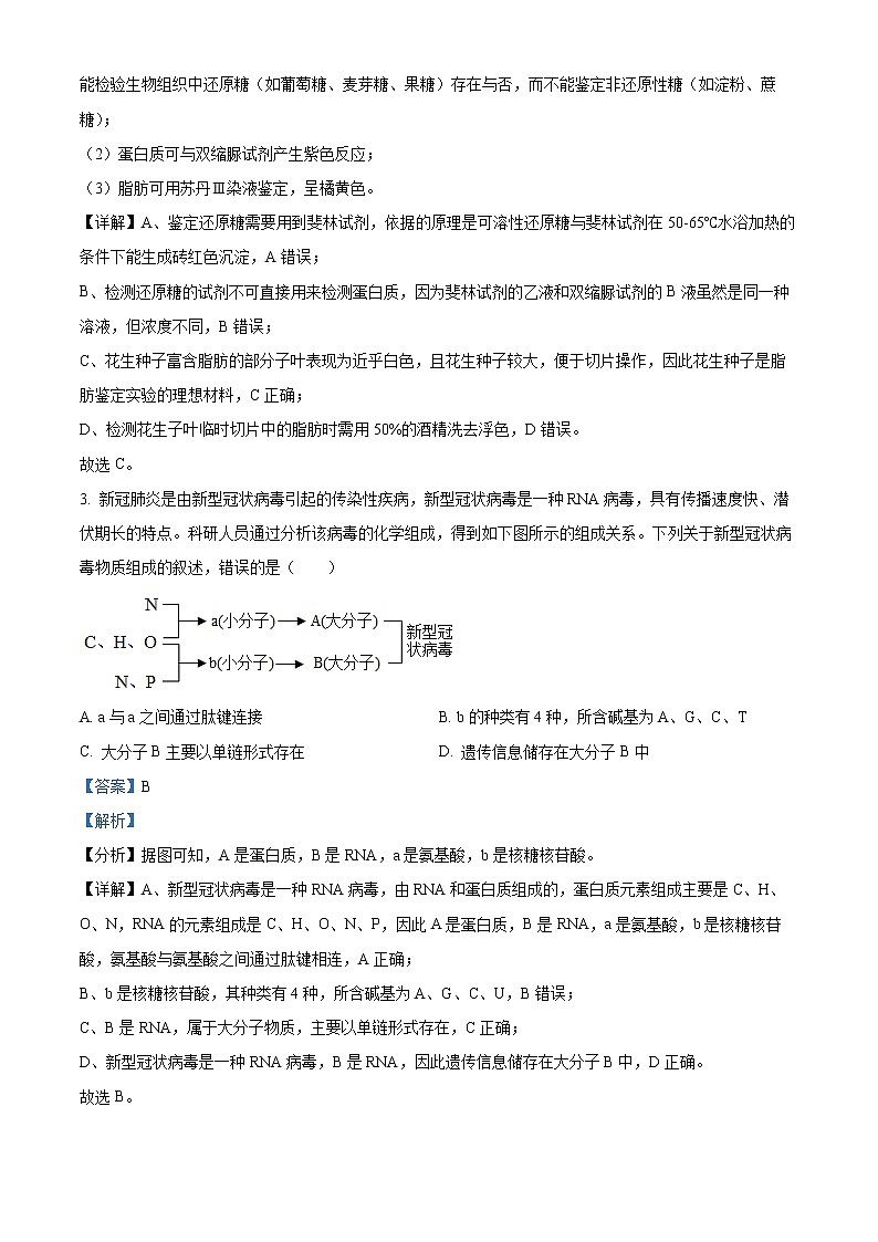 山西省晋中市榆次第一中学校2022-2023学年高二上学期开学考试生物试题含答案第2页