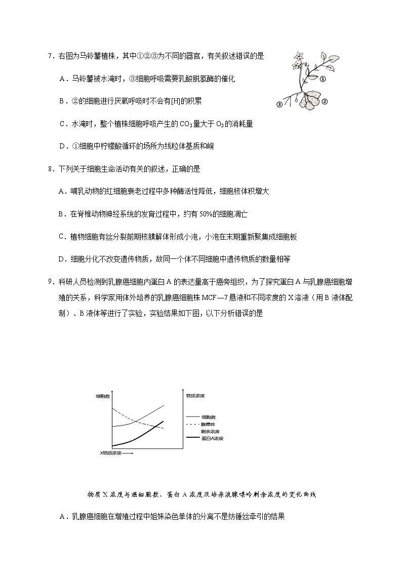 2021浙江省名校协作体高三下学期2月开学联考生物试题含答案03