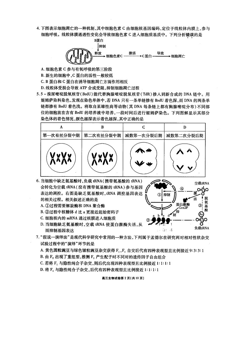 2021无锡高三下学期开学教学质量检测生物试题扫描版含答案第2页