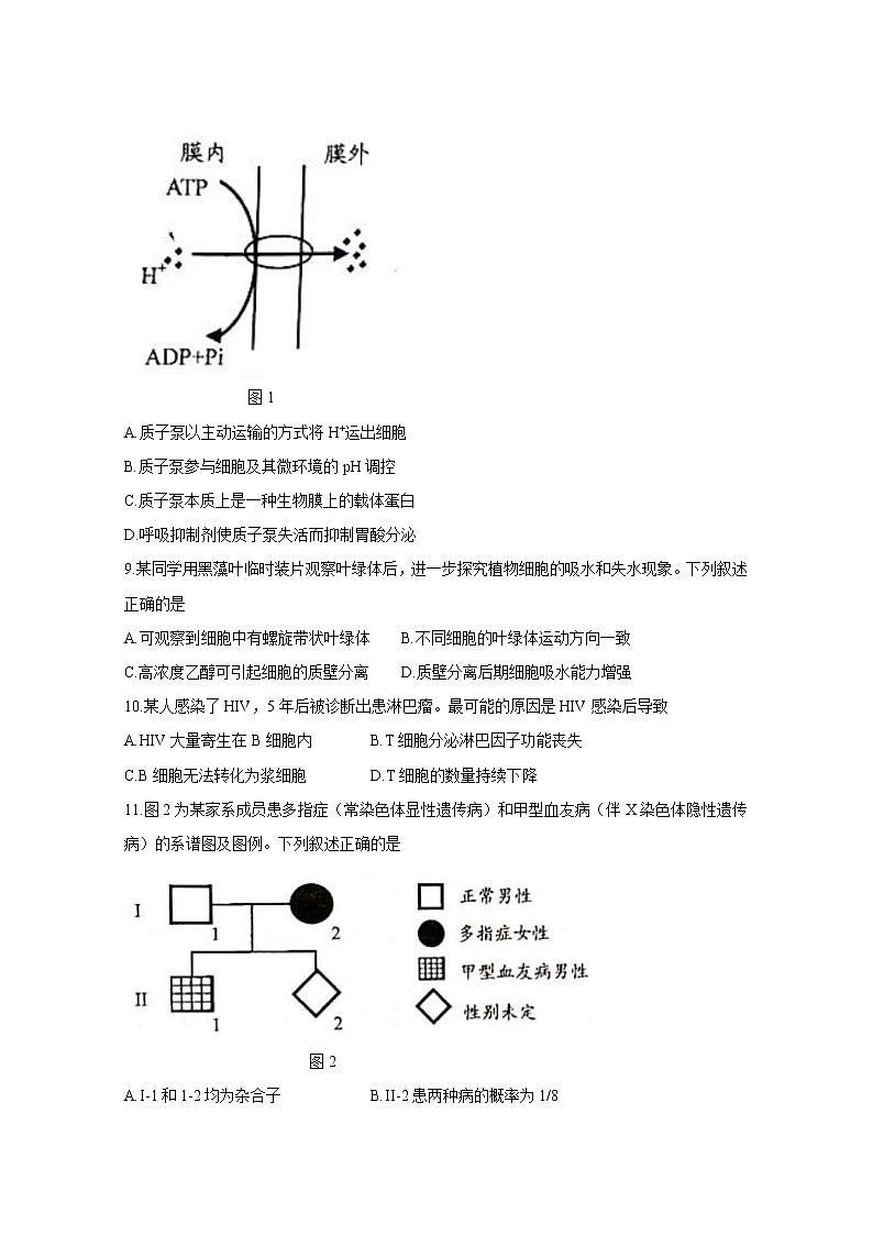 20211月广东省普通高中学业水平选择考适应性测试生物无答案第3页