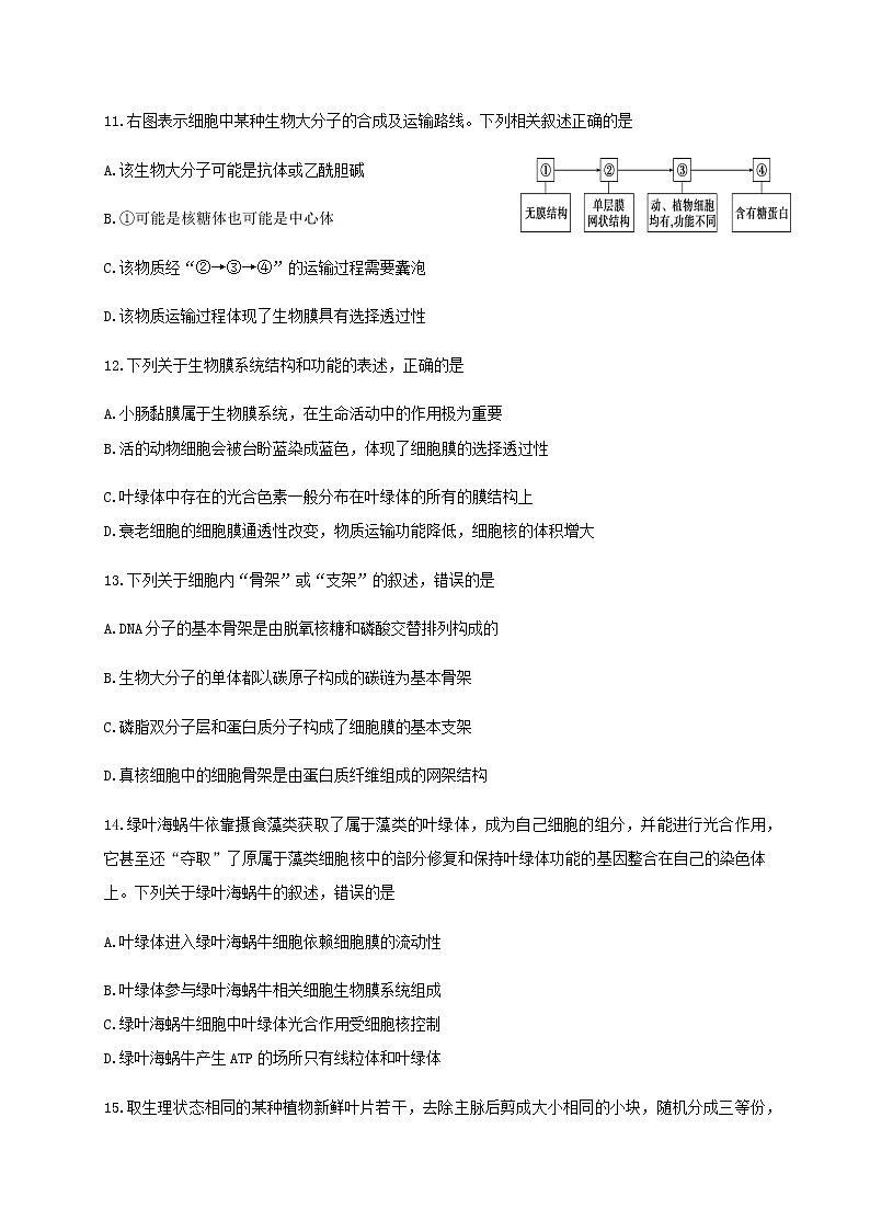 2021内江六中高三上学期开学考试（第一次月考）生物试题含答案第3页