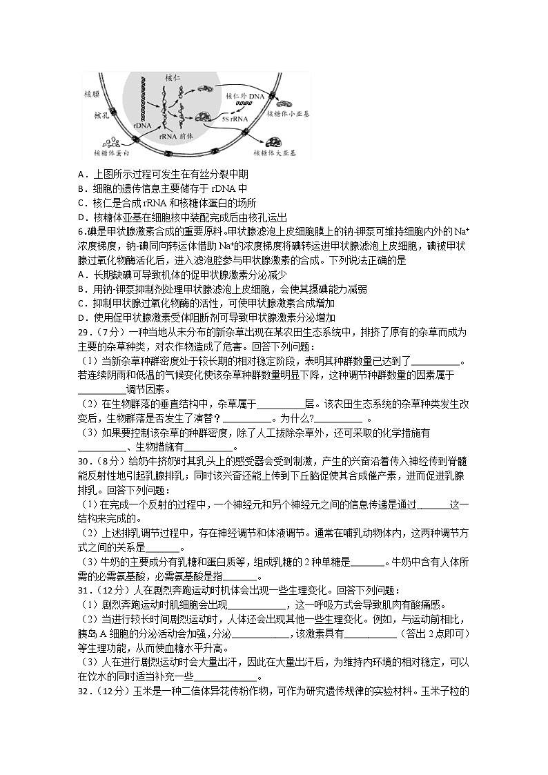 2021四川省棠湖中学高三上学期开学考试理综-生物试题含答案第2页