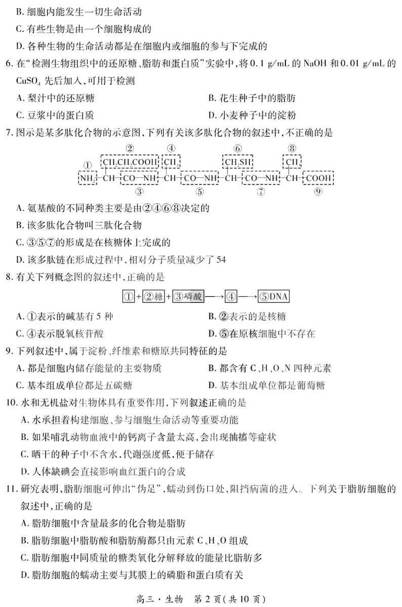 2021黑龙江省哈一中高三上学期开学测试生物试题PDF版含答案第2页