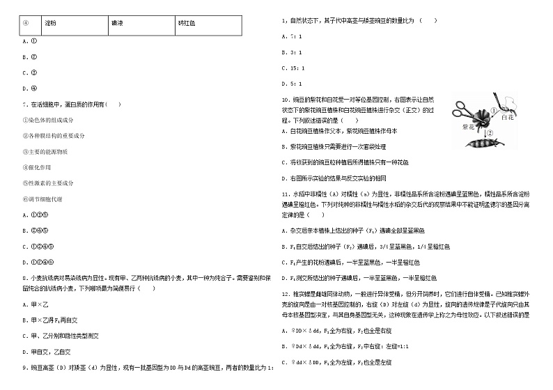 2021省大庆实验中学高三上学期开学考试生物试题含答案第2页