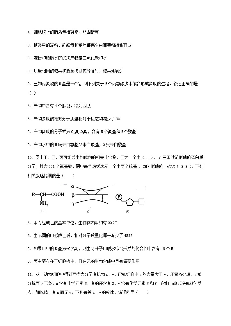 2021省鹤岗一中高三上学期第一次月考（开学考试）生物试题含答案第3页