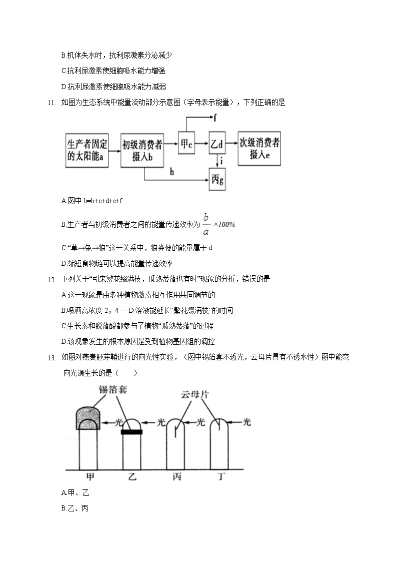 2021西宁海湖中学高二下学期开学考试生物试题含答案第3页