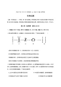 2021内江六中高二上学期开学考试生物试题含答案