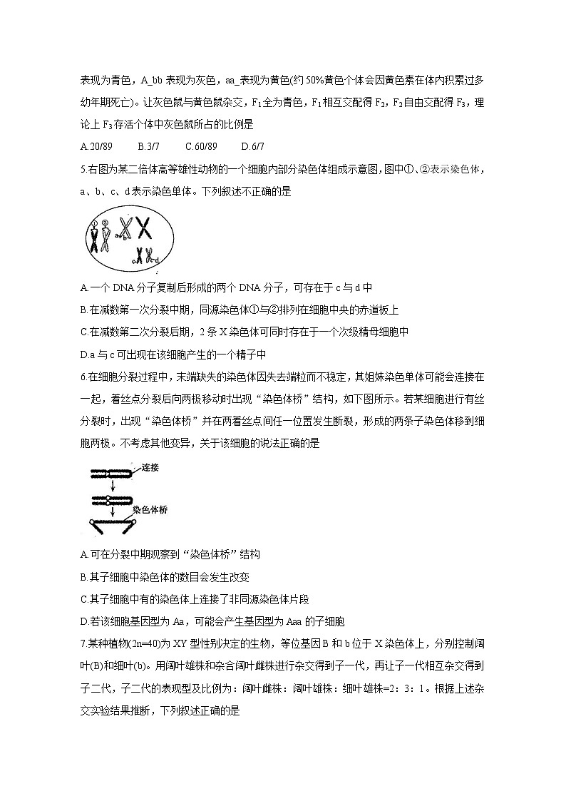 2021聊城九校高二上学期第一次开学联考试题生物含答案第2页