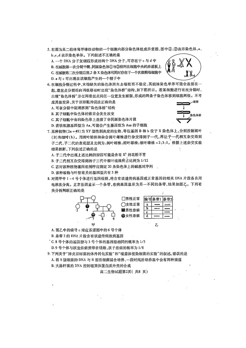 2021聊城九校高二上学期第一次开学联考生物试题扫描版含答案第2页