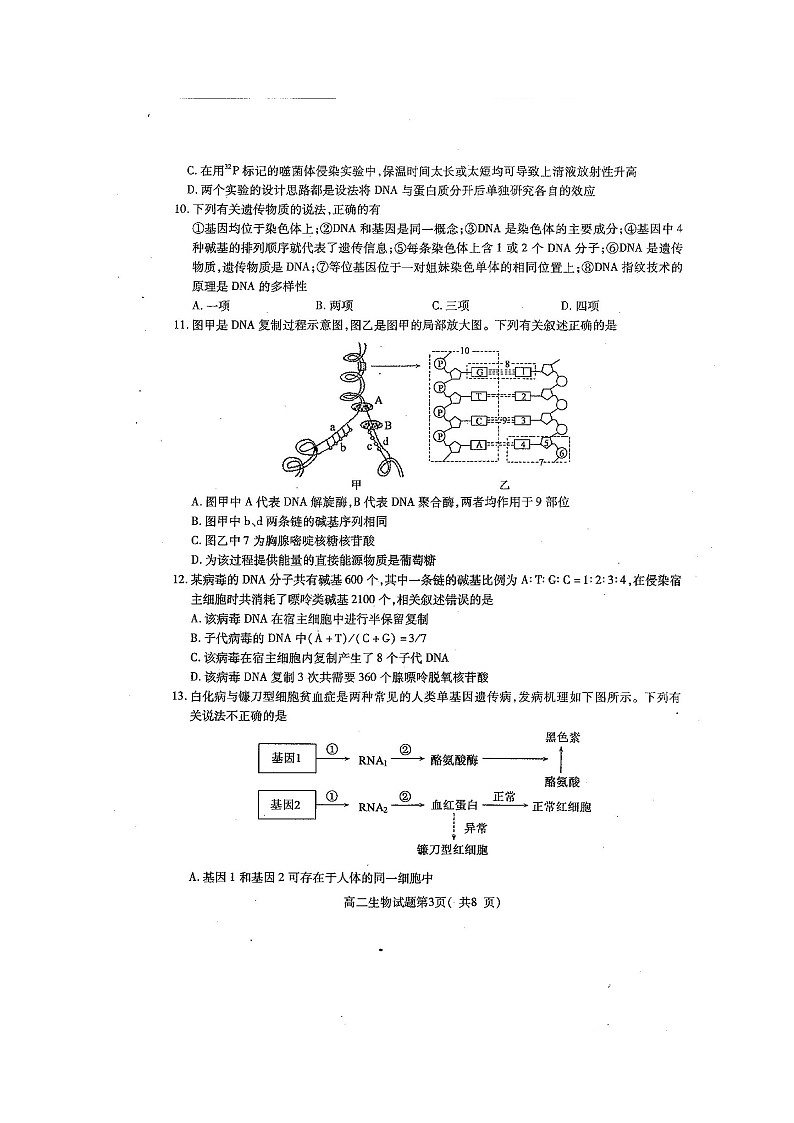 2021聊城九校高二上学期第一次开学联考生物试题扫描版含答案第3页