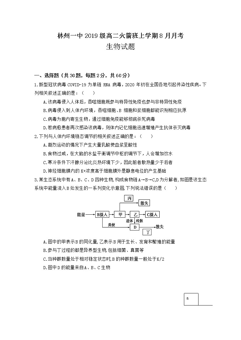 2021林州一中高二上学期开学考试（实验班）生物试题含答案第1页