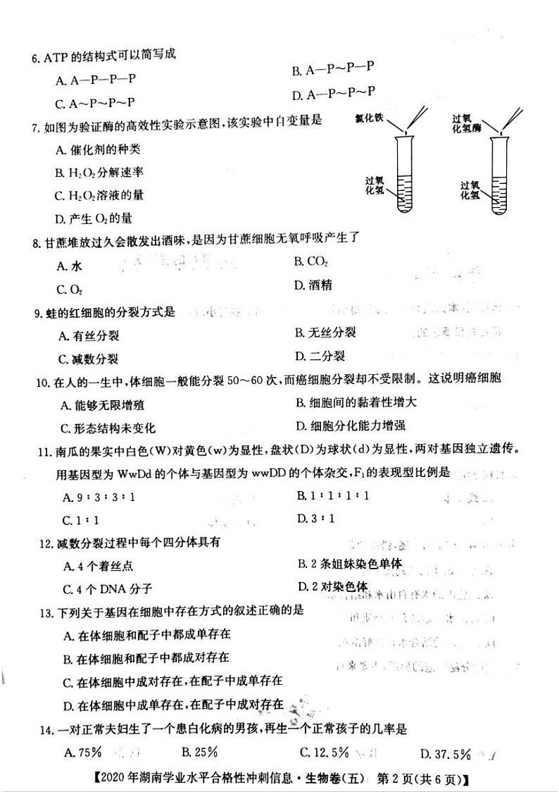 2020年湖南省普通高中学业水平合格性测试冲刺 信息卷五   生物第2页