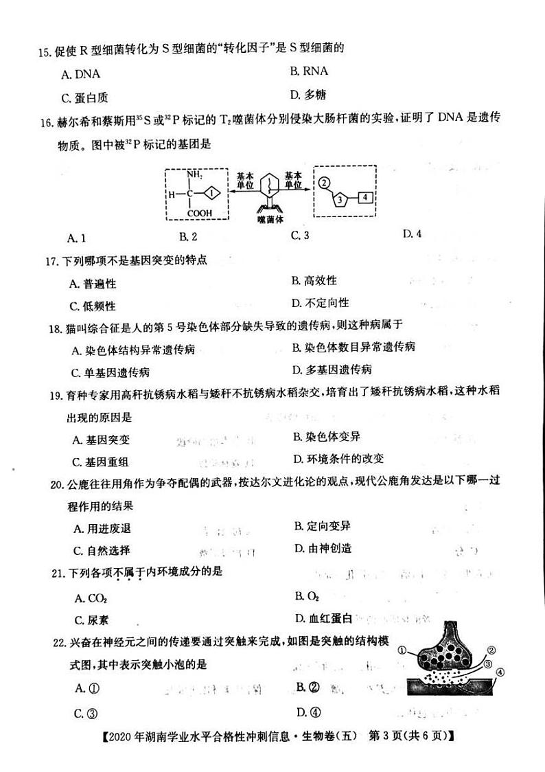 2020年湖南省普通高中学业水平合格性测试冲刺 信息卷五   生物第3页