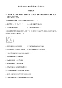 2021省绥化高一下学期开学考试生物试题含答案