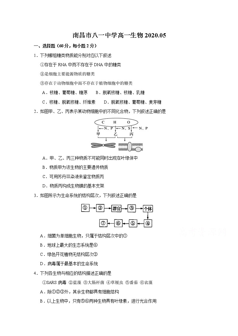 2020南昌八一中学高一下学期开学考试（5月）生物试题含答案第1页
