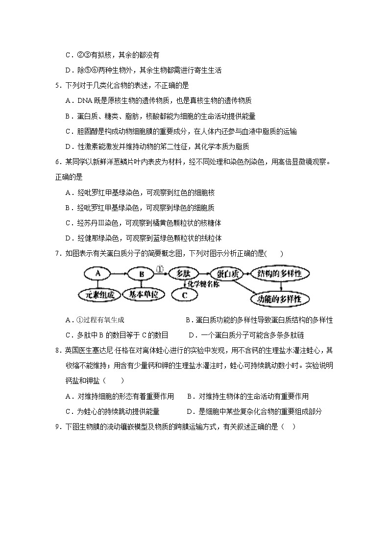 2020南昌八一中学高一下学期开学考试（5月）生物试题含答案第2页