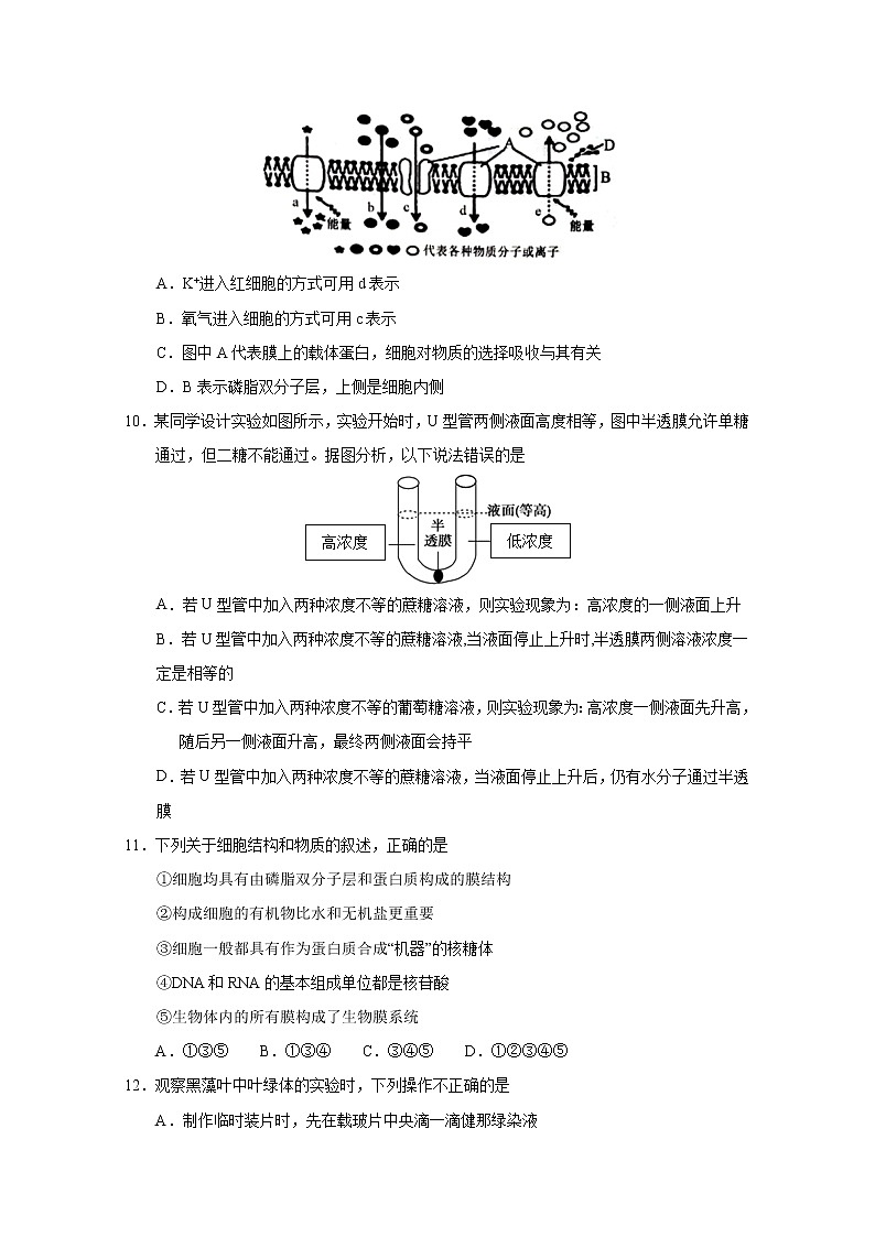 2020南昌八一中学高一下学期开学考试（5月）生物试题含答案第3页