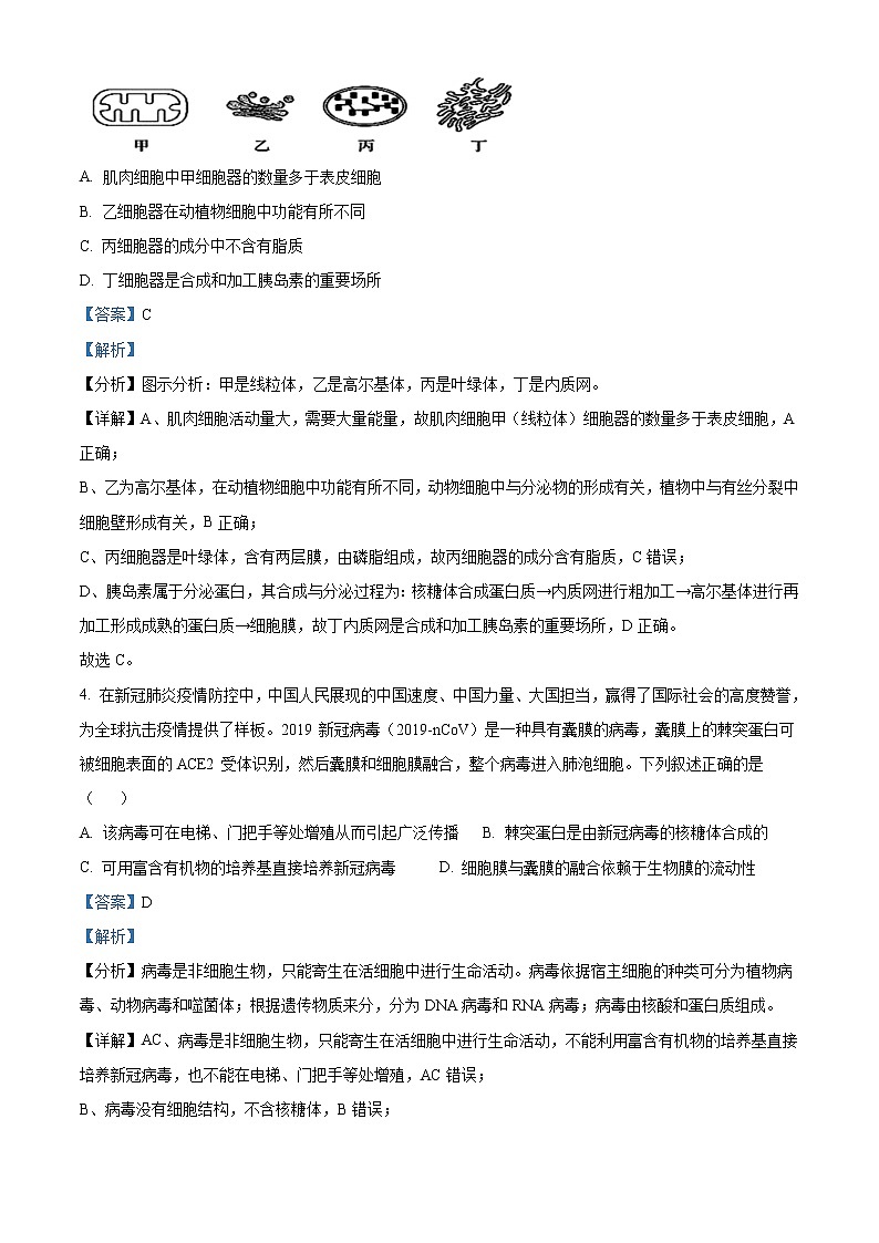 青海省西宁北外附属新华联外国语高级中学2022-2023学年高三上学期开学考试生物试题含解析第2页