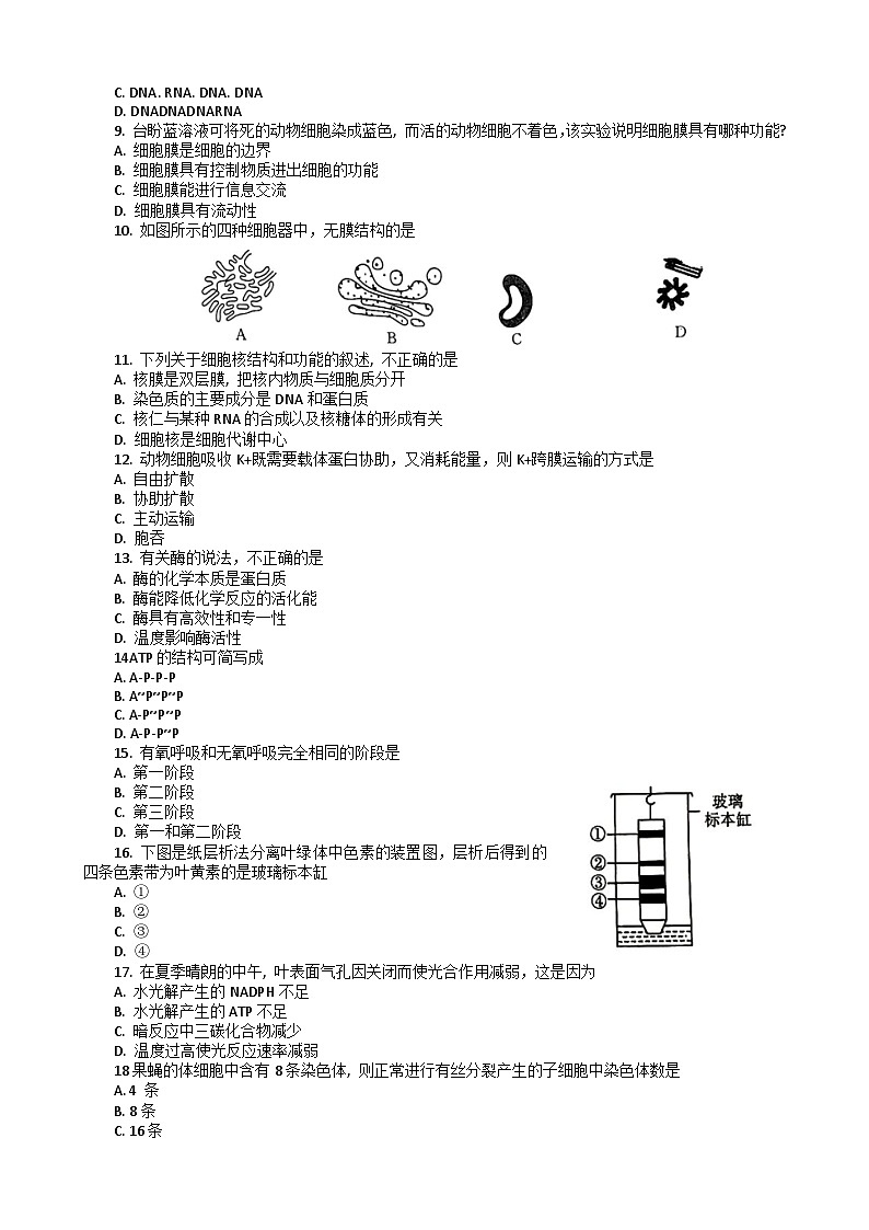 2023湖北省普通高中学业水平合格性考试模拟生物试题（六）含答案第2页