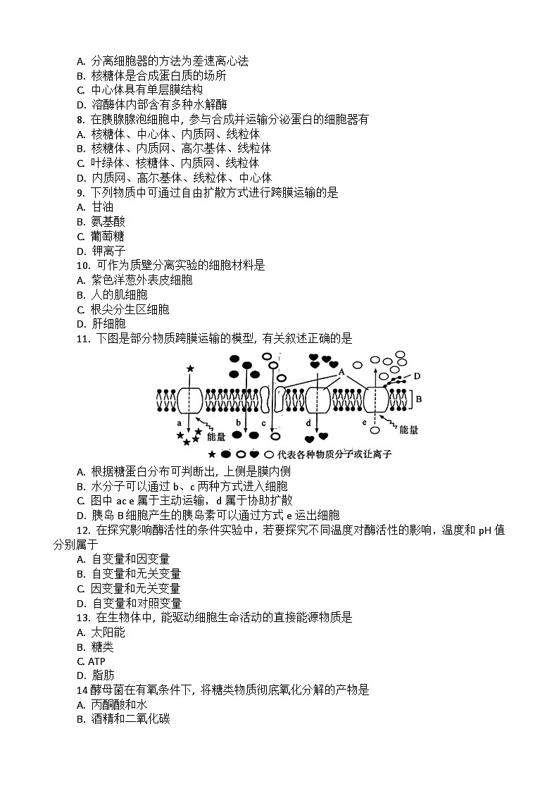 2023湖北省普通高中学业水平合格性考试模拟生物试题（五）含答案第2页