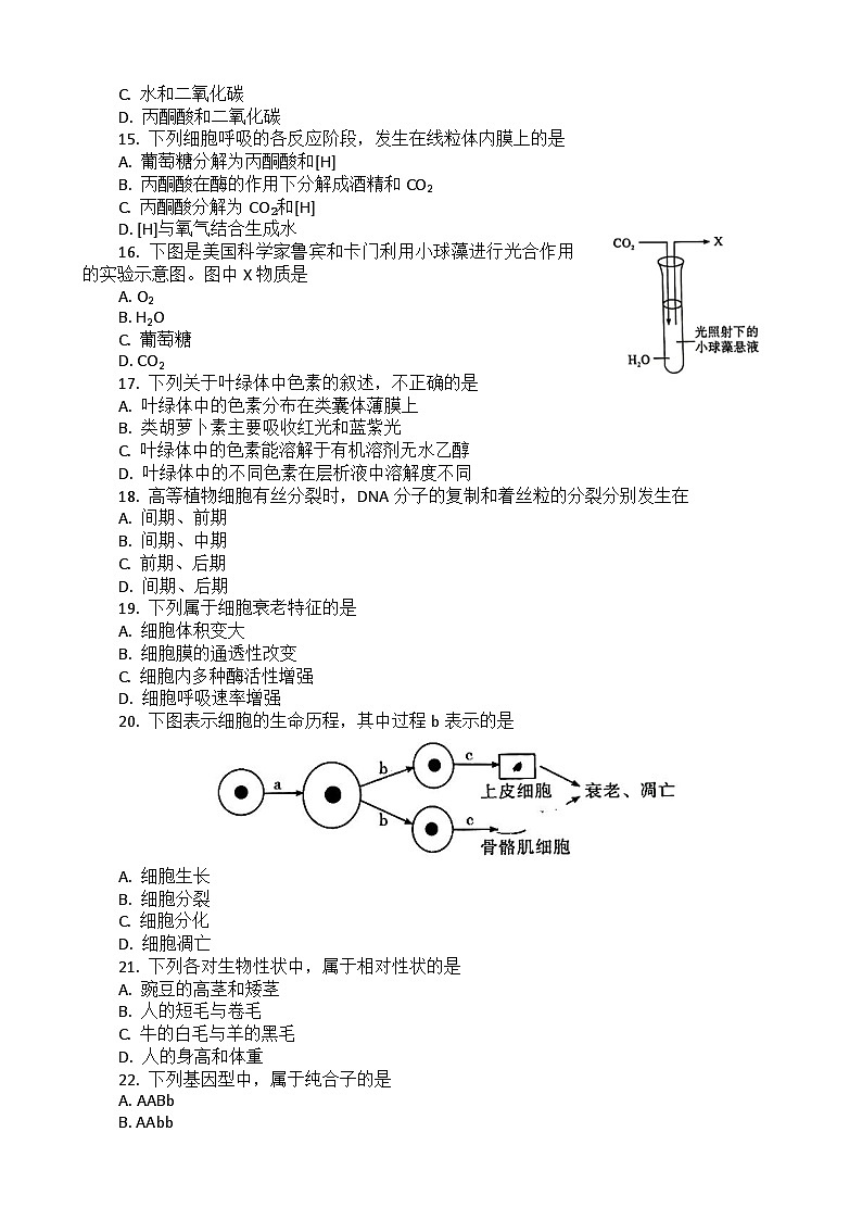 2023湖北省普通高中学业水平合格性考试模拟生物试题（五）含答案第3页