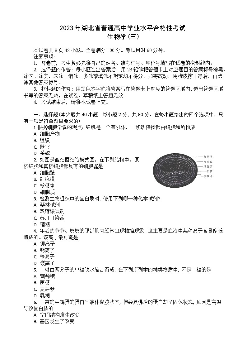 2023湖北省普通高中学业水平合格性考试模拟生物试题（三）含答案第1页