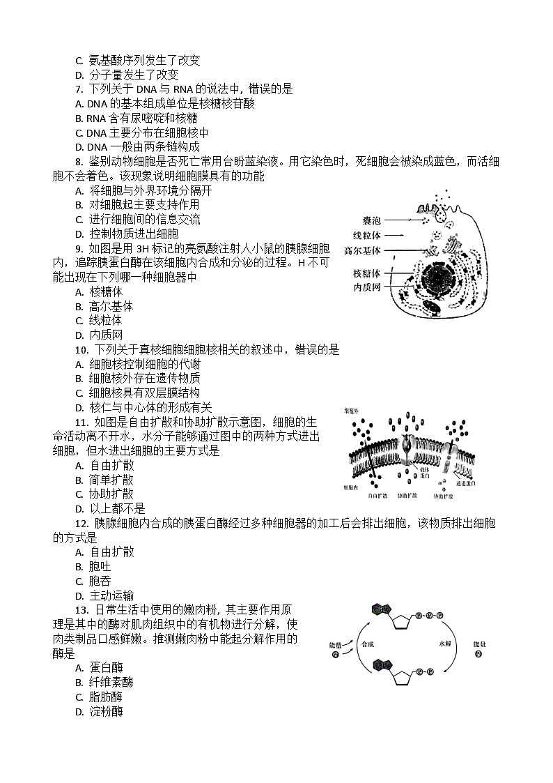 2023湖北省普通高中学业水平合格性考试模拟生物试题（三）含答案第2页