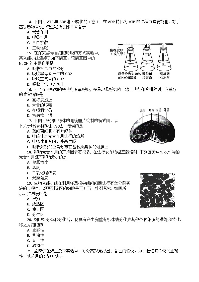 2023湖北省普通高中学业水平合格性考试模拟生物试题（三）含答案第3页