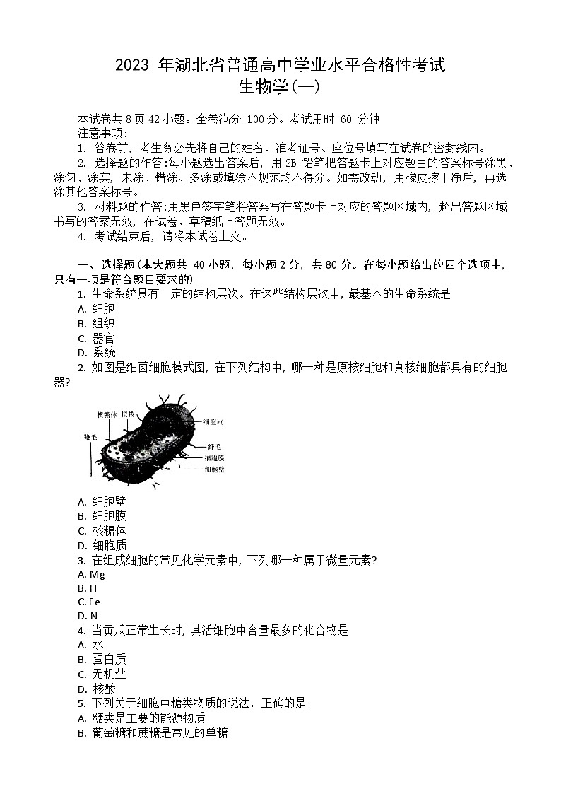 2023湖北省普通高中学业水平合格性考试模拟生物试题（一）含答案第1页