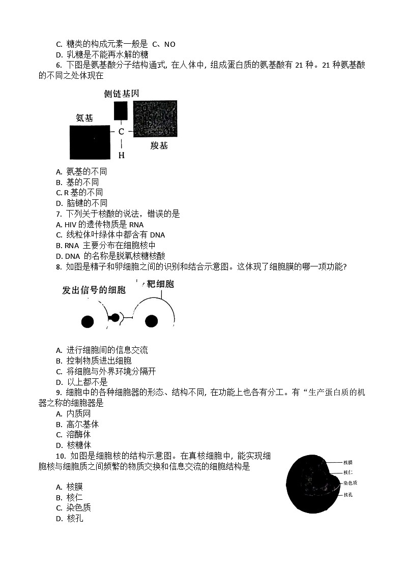 2023湖北省普通高中学业水平合格性考试模拟生物试题（一）含答案第2页