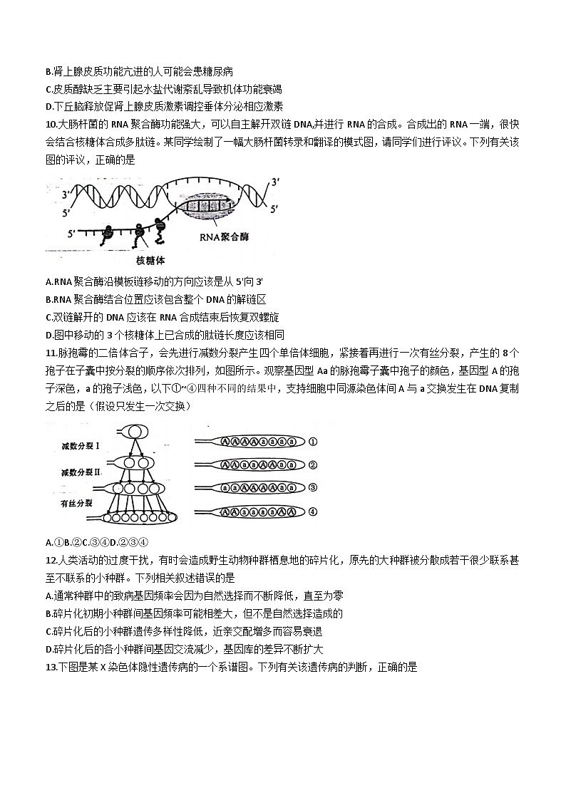 20241月普通高等学校招生全国统一考试适应性测试（九省联考）生物试题（适用地区：安徽）无答案第3页