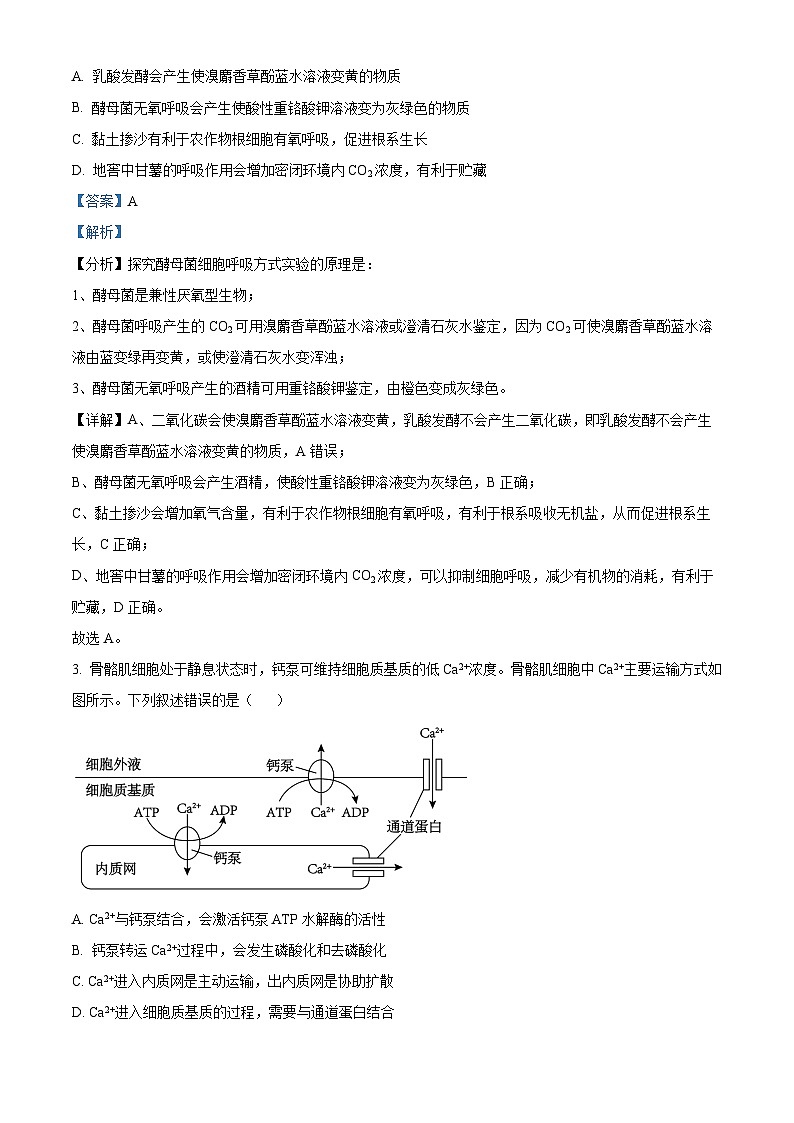2024年1月安徽省普通高等学校招生全国统一考试适应性测试（九省联考）生物解析第2页