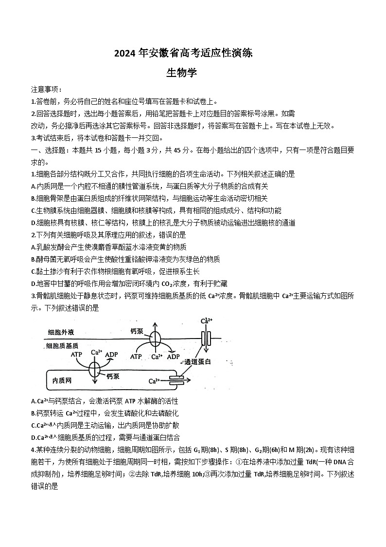 20241月普通高等学校招生全国统一考试适应性测试（九省联考）生物试题（适用地区：安徽）无答案第1页