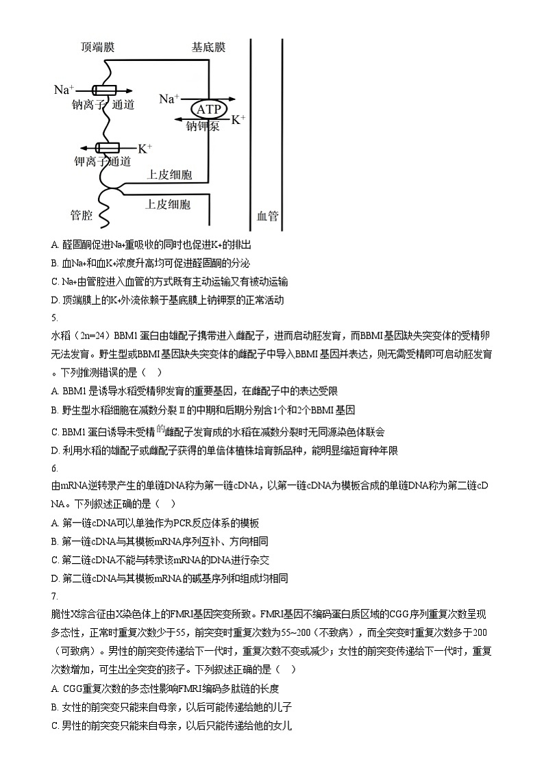2025年1月普通高校适应性测试河南生物无答案第2页
