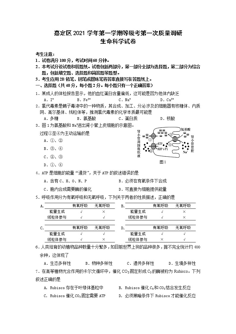 上海市嘉定区2021-2022学年第一学期等级考第一次质量调研 生命科学试卷第1页